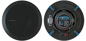 Динамическая головка CVGaudio CRX8TBL