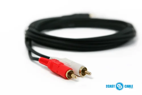 CVGaudio PROCAST cable S-MJ/2RCA.2