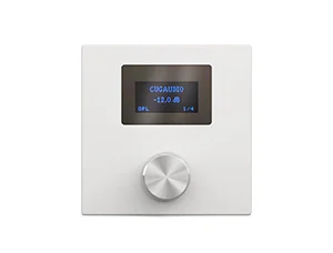 CVGaudio P-ZONER-W/IP/A