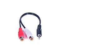 CVGaudio PROCAST cable A-MJ/2RCA-F
