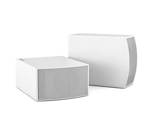 Сабвуфер CVGaudio SUBone model C-6W/CR/T