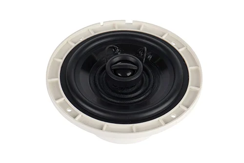 Динамическая головка CVGaudio WT58W