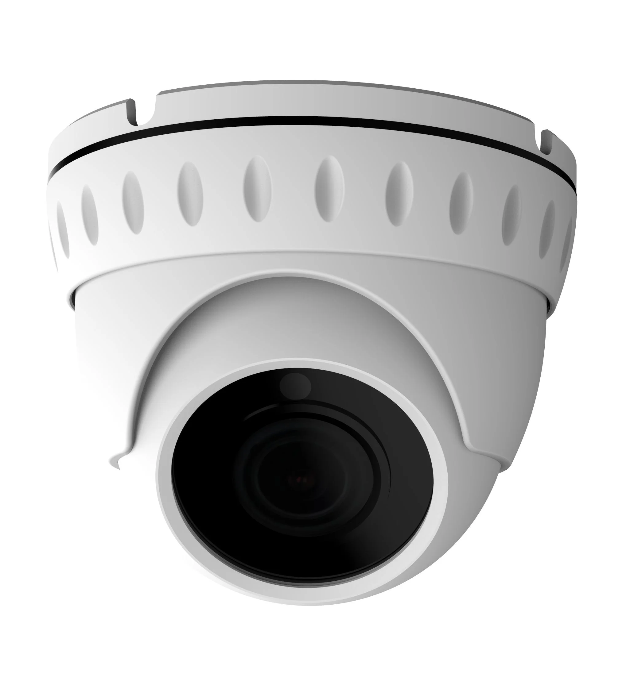 AltCam DDMV81IR