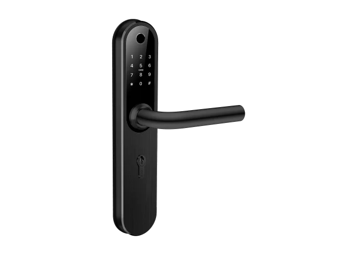 Novicam Home Plus BLACK Novilock v.4240