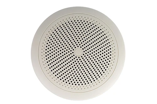 Динамическая головка CVGaudio WT58W