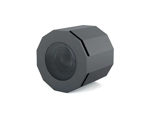 Сабвуфер CVGaudio SUBone model D-6BL/CR/T