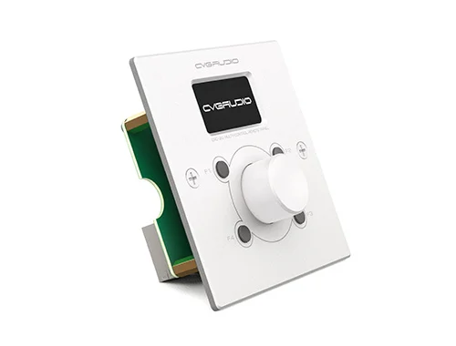 CVGaudio ERC-2W