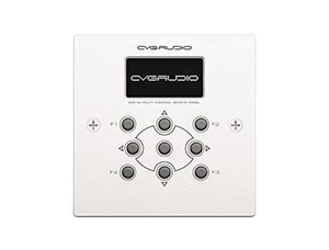 CVGaudio ERC-1W