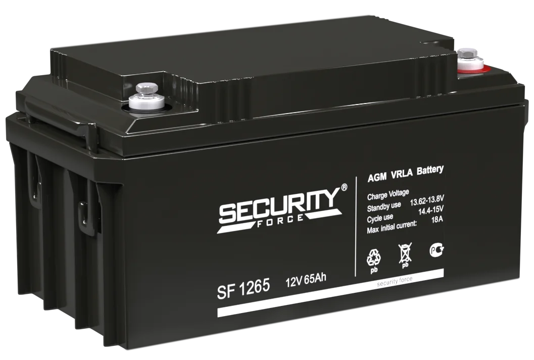 Аккумулятор Security Force SF 1265 AGM (12 В / 65 Ач)