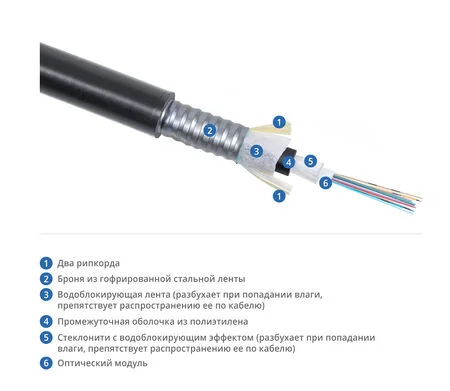 CLT-A-6-01X08-Z-PE-ARM-PE-DD-OUT-40 (7743c)