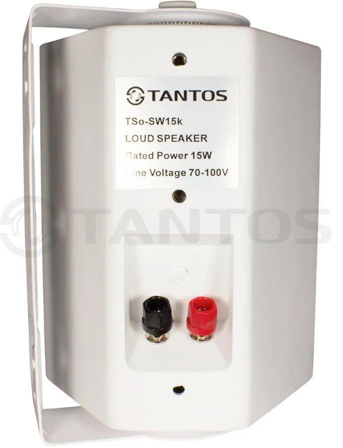 Tantos TSo-SW30k Настенная акустическая система 30 Вт
