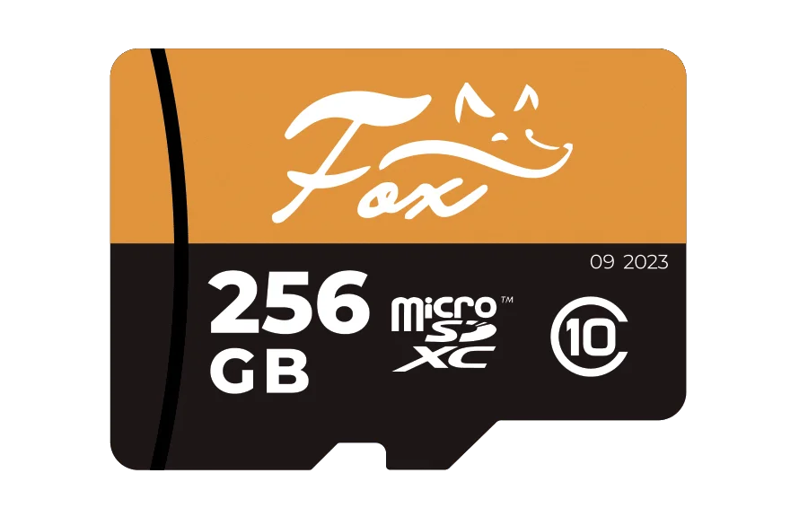 FX-SD256GB