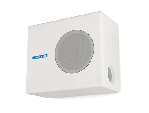 Сабвуфер CVGaudio SUBone model A-6W/Active
