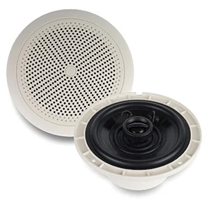 Динамическая головка CVGaudio WT58W