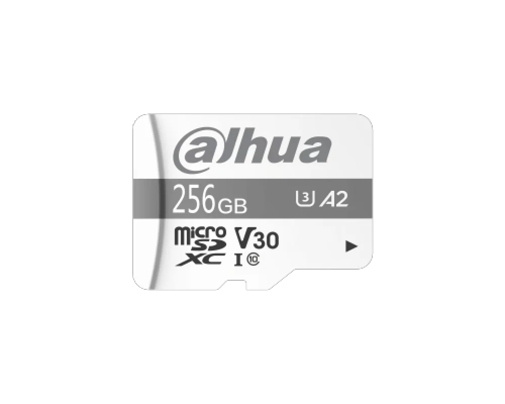 DHI-TF-P100/256G