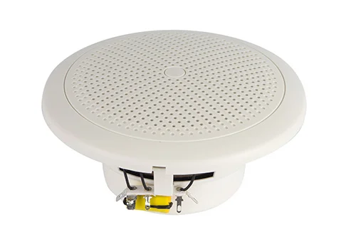 Динамическая головка CVGaudio WT58W