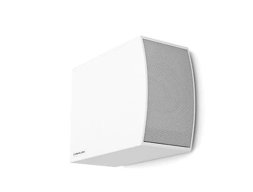 Сабвуфер CVGaudio SUBone model C-6W/CR/T