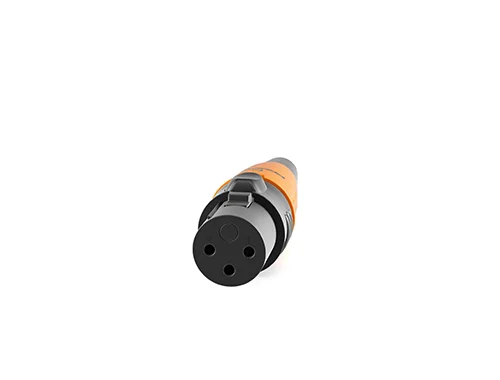 CVGaudio PROCAST cable BP-XLR/Female