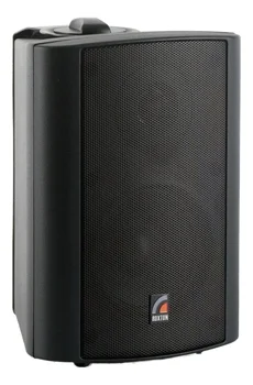 Roxton MS-20TB Настенная акустическая система 20 Вт