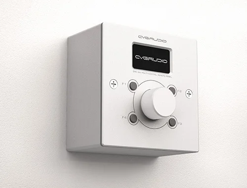 CVGaudio ERC-2W