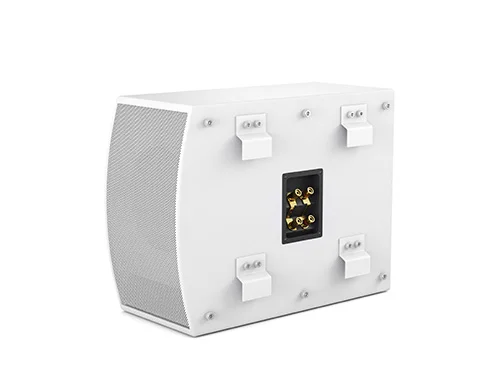 Сабвуфер CVGaudio SUBone model C-6W/CR/T