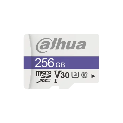 DHI-TF-C100/256GB