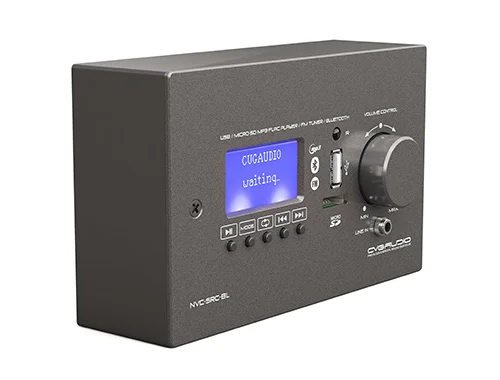 CVGaudio WS-NSRC-BL