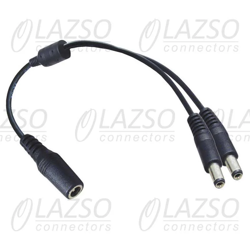 LAZSO WP12