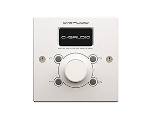 CVGaudio ERC-2W