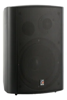 Roxton MS-40TB Настенная акустическая система 5/10/20/40 Вт