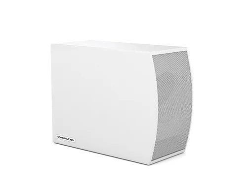 Сабвуфер CVGaudio SUBone model C-6W/CR/T