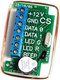Считыватель Iron Logic модуль RZ4