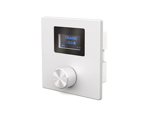 CVGaudio P-ZONER-W/IP/A