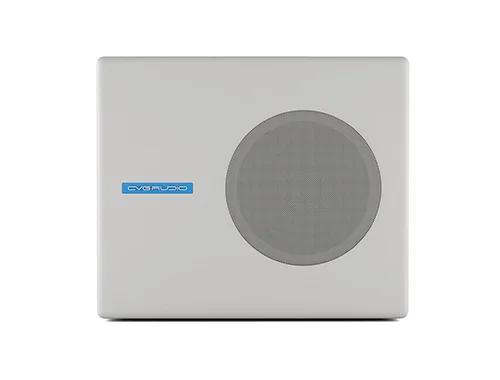 Сабвуфер CVGaudio SUBone model A-6W/CR/T