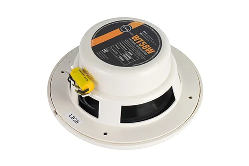 Динамическая головка CVGaudio WT58W