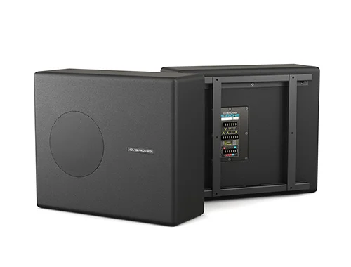 Сабвуфер CVGaudio SUBone model B-8BL/CR/T-100
