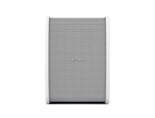 CVGaudio TONE-POINT model A-plus/W  акустическая система