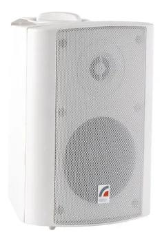 Roxton MS-20TW Настенная акустическая система 20 Вт