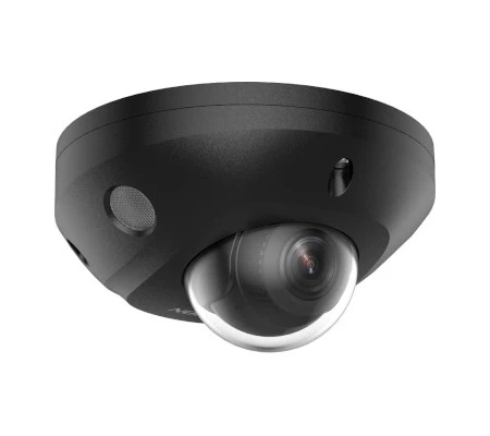 DS-2CD2543G2-LIS2U(2.8mm)/BLACK
