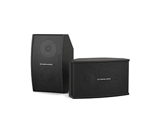 CVGaudio AXE5:8BL Настенная акустическая система 70/140 Вт