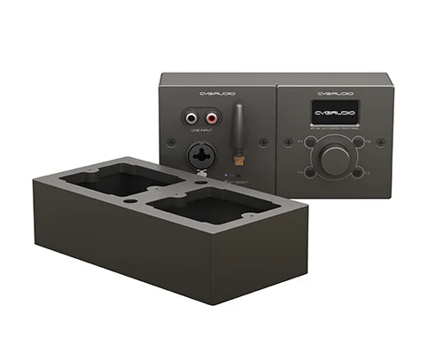 CVGaudio WS2-ERC-BL