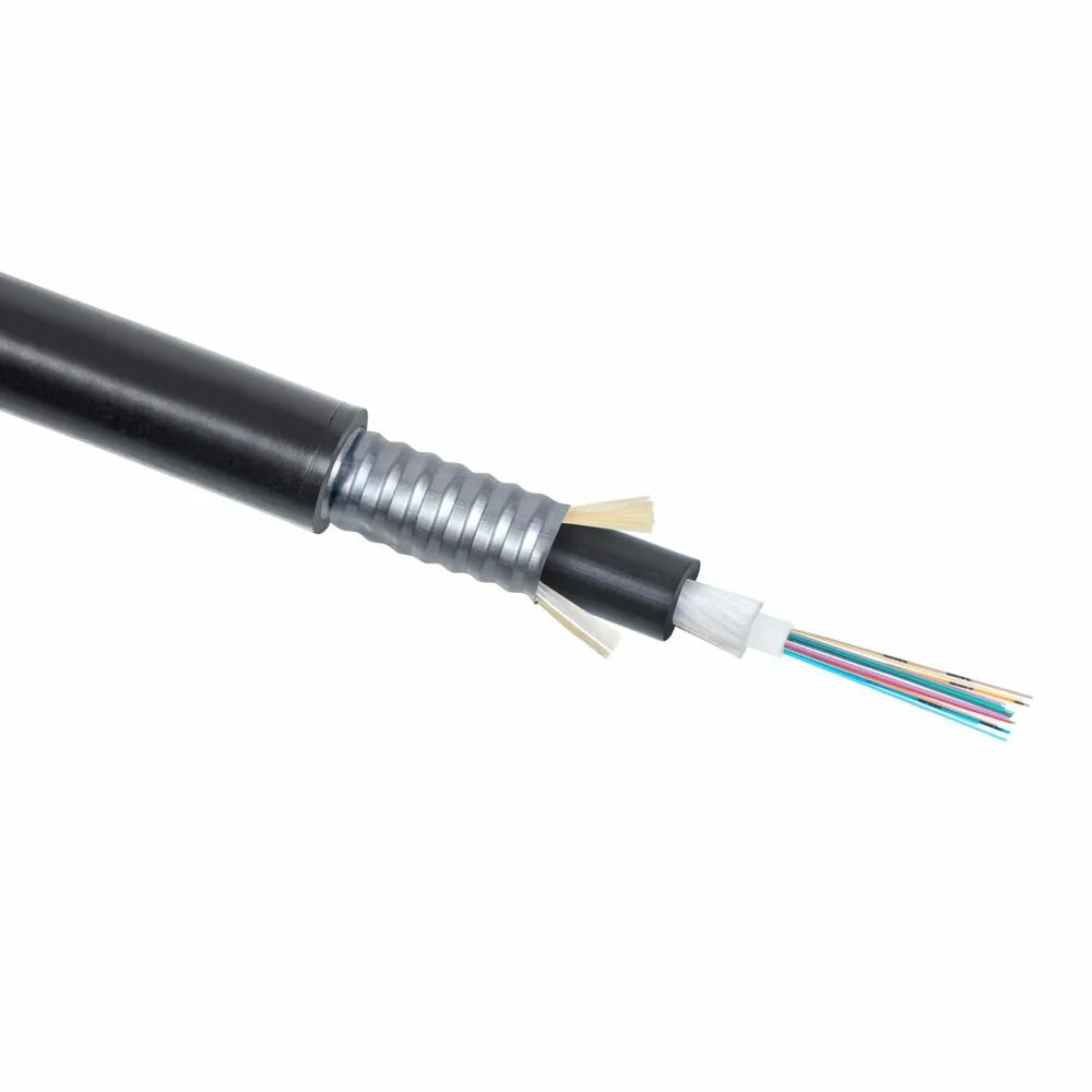 CLT-A-7-01X24-Z-PE-ARM-PE-DD-OUT-40 (9227c)