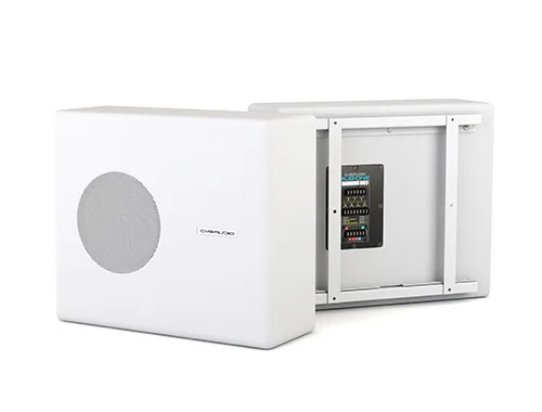 Сабвуфер CVGaudio SUBone model B-8W/CR/T-100