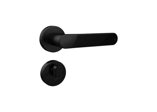 Novicam Home Fast BLACK Novilock v.4211