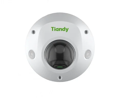 Tiandy TC-C32PS Spec:I3/E/Y/M/H/2.8mm/V4.2 - IP Видеокамера  2 Мп, объектив 2,8 мм