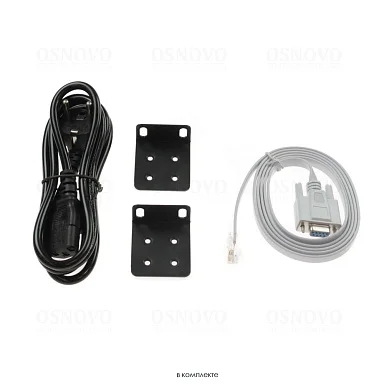 OSNOVO SW-24G4X-L2