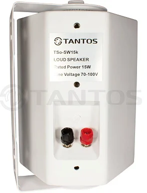 Tantos TSo-SW30k Настенная акустическая система 30 Вт