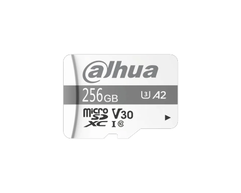 DHI-TF-P100/256G