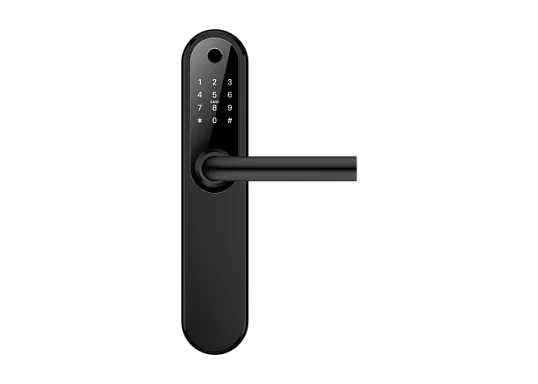Novicam Smart Plus BLACK Novilock v.4209