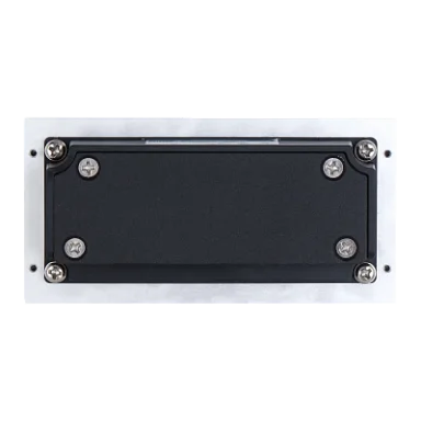 Dahua DHI-VTO4202F-MDB4